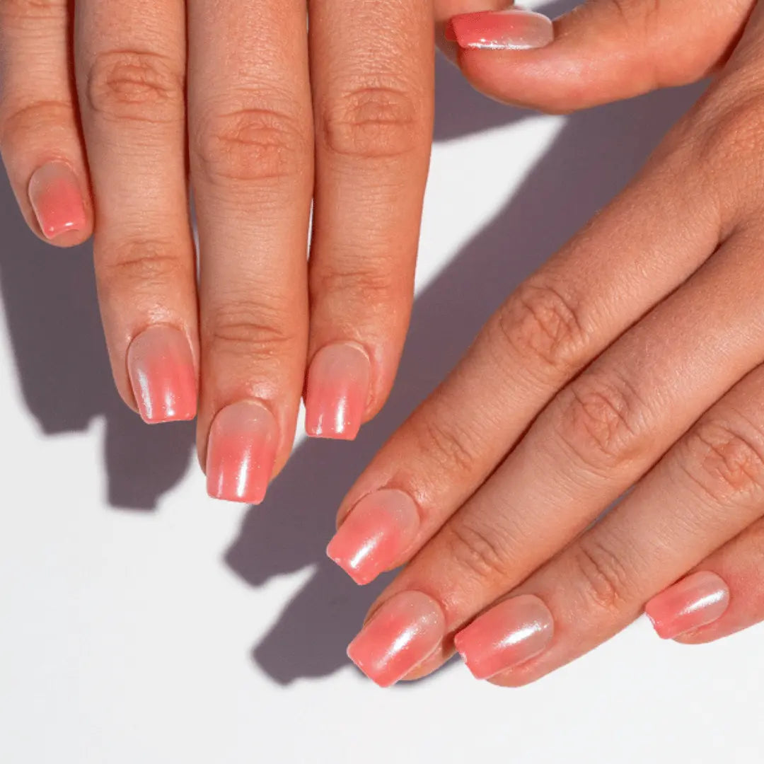 Pink Champagne NELI